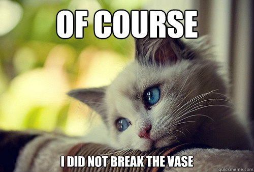 Of course  I did not break the vase - Of course  I did not break the vase  First World Problems Cat