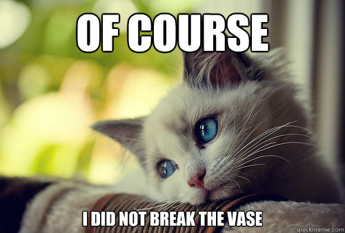 Of course  I did not break the vase  First World Problems Cat