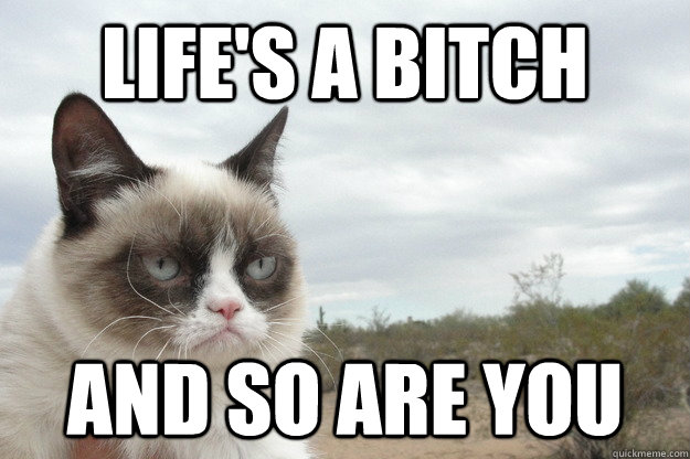 Life's a bitch and so are you  