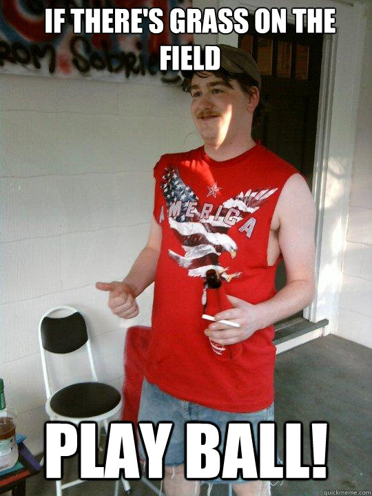 If there's grass on the field PLAY BALL!  Redneck Randal