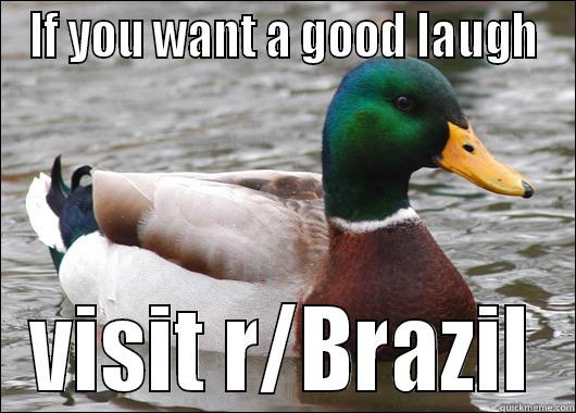 IF YOU WANT A GOOD LAUGH VISIT R/BRAZIL Actual Advice Mallard