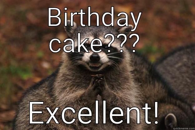 BIRTHDAY CAKE??? EXCELLENT! Evil Plotting Raccoon