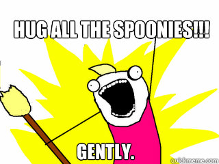 HUG ALL THE SPOONIES!!! Gently.  All The Things