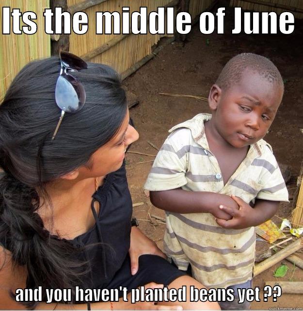 ITS THE MIDDLE OF JUNE  AND YOU HAVEN'T PLANTED BEANS YET ??  Skeptical Third World Kid