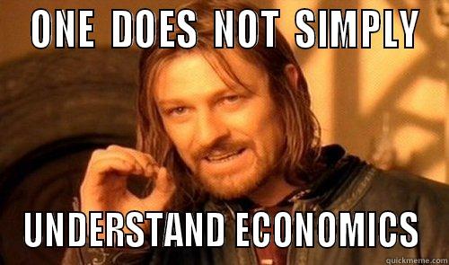  ONE  DOES  NOT  SIMPLY UNDERSTAND ECONOMICS Misc