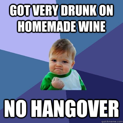 Got very drunk on homemade wine No hangover  Success Kid