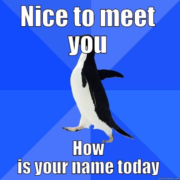 NICE TO MEET YOU HOW IS YOUR NAME TODAY Socially Awkward Penguin