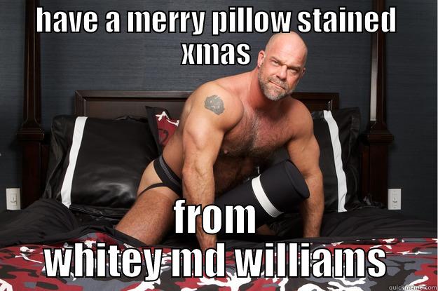 HAVE A MERRY PILLOW STAINED XMAS FROM WHITEY MD WILLIAMS Gorilla Man