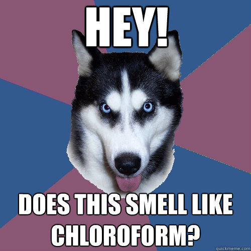 HEY! Does this smell like chloroform?  Creeper Canine