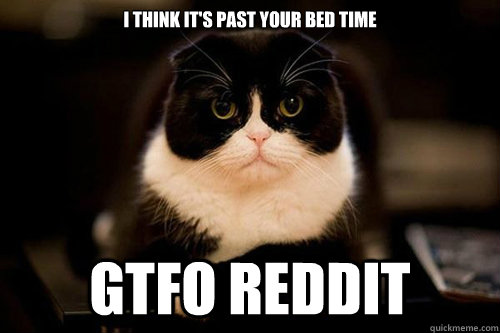 I think it's past your bed time GTFO Reddit - I think it's past your bed time GTFO Reddit  Concerned Cat