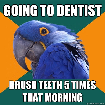Going to dentist brush teeth 5 times that morning  Paranoid Parrot