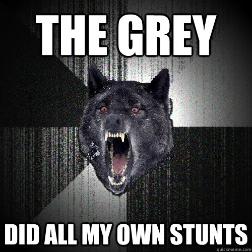 the grey did all my own stunts  Insanity Wolf