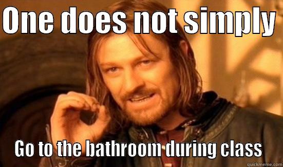 ONE DOES NOT SIMPLY  GO TO THE BATHROOM DURING CLASS  Boromir