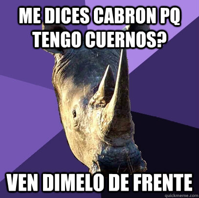 me dices cabron pq tengo cuernos? ven dimelo de frente  Sexually Oblivious Rhino