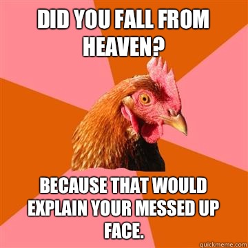 Did you fall from heaven? Because that would explain your messed up face.  Anti-Joke Chicken