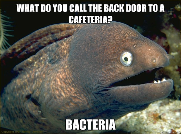 What do you call the back door to a cafeteria? Bacteria  Bad Joke Eel