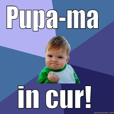 PUPA-MA  IN CUR! Success Kid