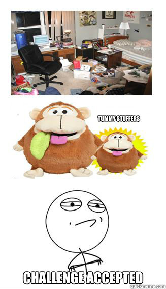 Tummy Stuffers Challenge Accepted  Challenge Accepted