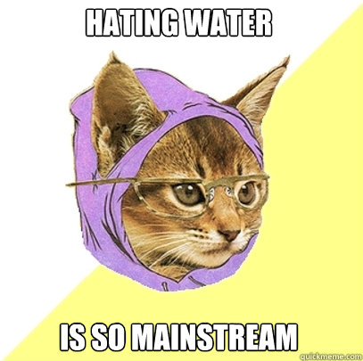 Hating water is so mainstream  Hipster Kitty
