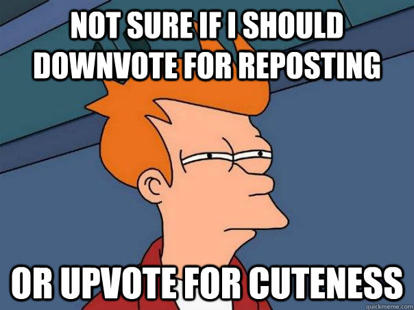 Not sure if I should downvote for reposting Or upvote for cuteness  Futurama Fry