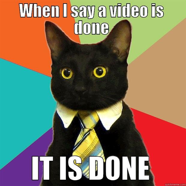 WHEN I SAY A VIDEO IS DONE IT IS DONE Business Cat