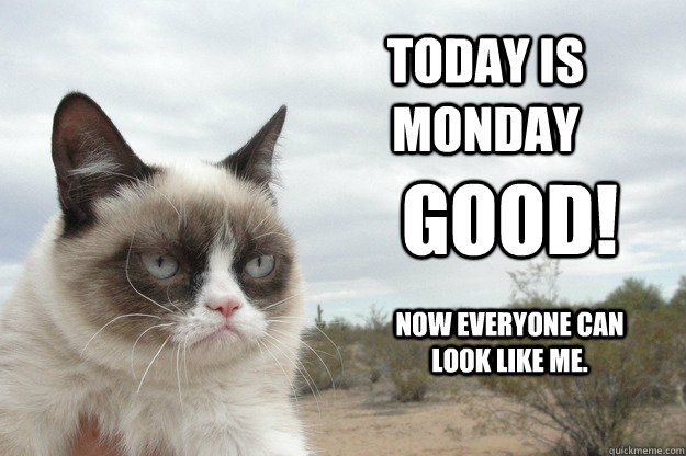 Today is Monday good! Now everyone can look like me.  Grump Cat