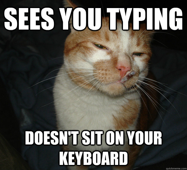 Sees you typing Doesn't sit on your keyboard  Cool Cat Craig