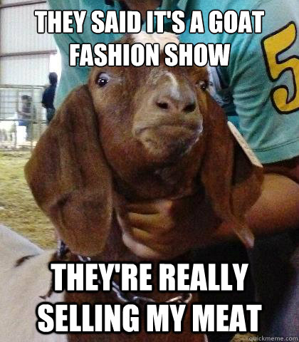 They said it's a goat fashion show they're really selling my meat  dramatic goat