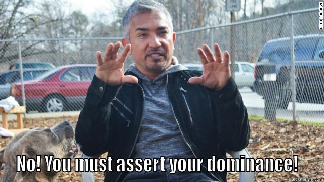  NO! YOU MUST ASSERT YOUR DOMINANCE!   Misc