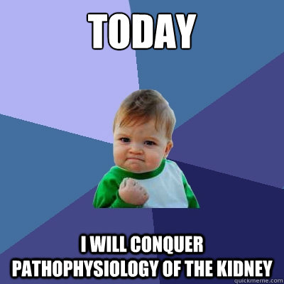 TODAY I will conquer pathophysiology of the kidney  Success Kid