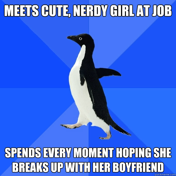 Meets cute, nerdy girl at job Spends every moment hoping she breaks up with her boyfriend  Socially Awkward Penguin