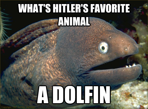What's hitler's favorite animal a dolfin  Bad Joke Eel