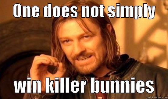     ONE DOES NOT SIMPLY          WIN KILLER BUNNIES    Boromir