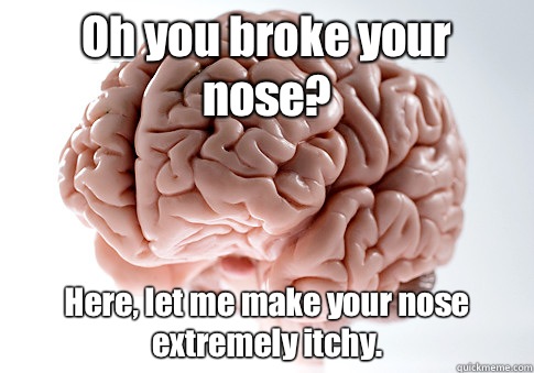 Oh you broke your nose? Here, let me make your nose extremely itchy.    Scumbag Brain