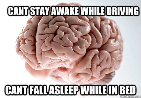 cant stay awake while driving cant fall asleep while in bed  Scumbag Brain