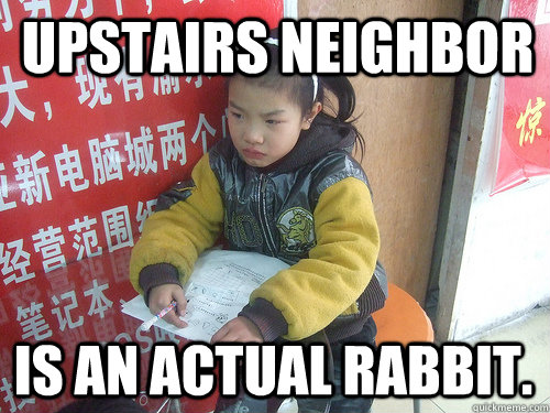 Upstairs neighbor  is an actual rabbit.  Second World Problems