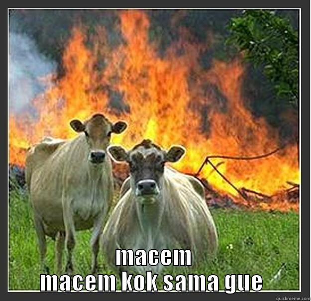  MACEM MACEM KOK SAMA GUE  Evil cows