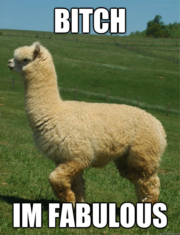 BITCH IM FABULOUS - BITCH IM FABULOUS  Alpaca with attitude