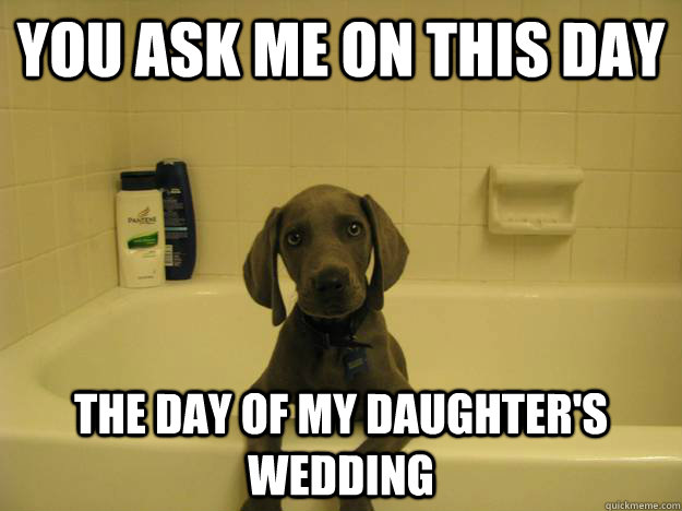 You ask me on this day The day of my daughter's wedding - You ask me on this day The day of my daughter's wedding  Misc