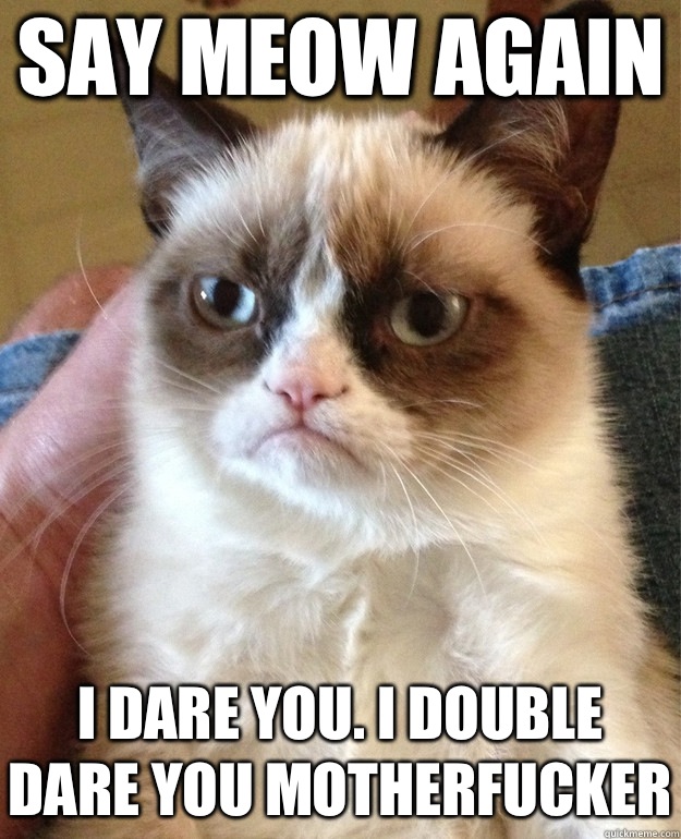 Say meow again I dare you. I double dare you motherfucker  Grumpy Cat