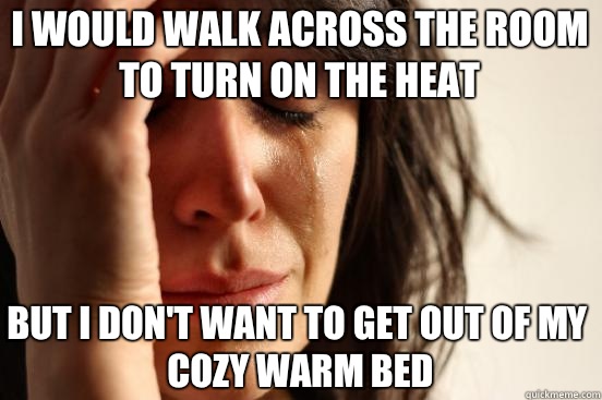 I would walk across the room to turn on the heat But I don't want to get out of my cozy warm bed  First World Problems