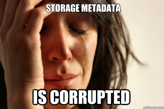 Storage metadata is corrupted  First World Problems