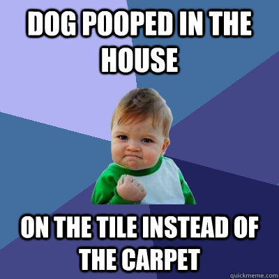 Dog pooped in the house on the tile instead of the carpet  Success Kid