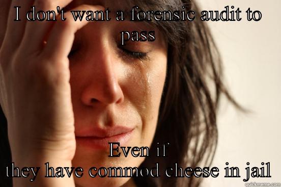 I DON'T WANT A FORENSIC AUDIT TO PASS EVEN IF THEY HAVE COMMOD CHEESE IN JAIL First World Problems