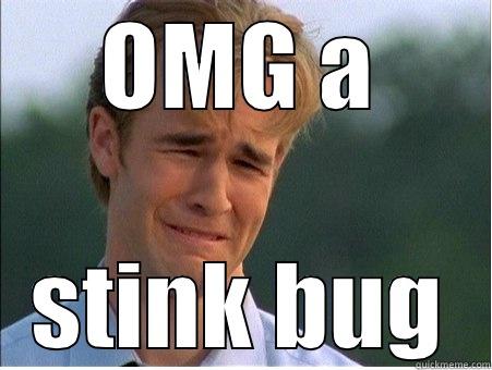 Stink bug takeover - OMG A STINK BUG 1990s Problems