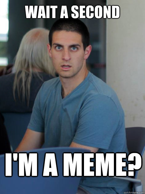 wait a second I'm a meme? - wait a second I'm a meme?  Disillusioned Domenic