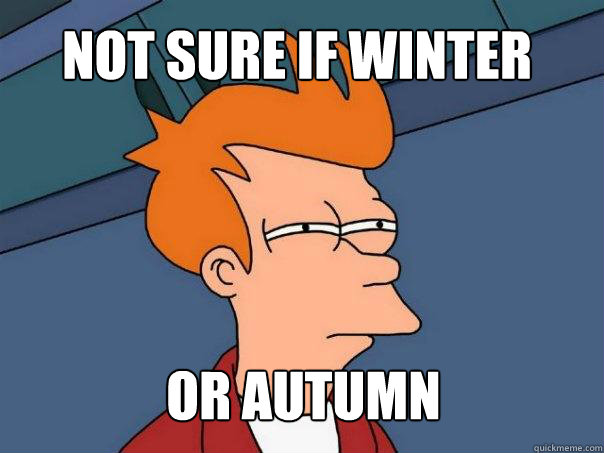 not sure if winter or autumn  Futurama Fry