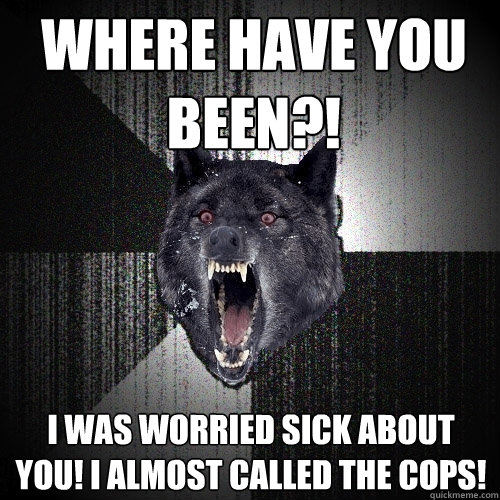 Where have you been?! I was worried sick about you! I almost called the cops!  Insanity Wolf