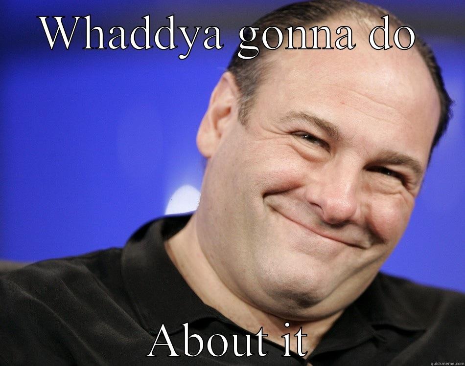 Soprano face - WHADDYA GONNA DO ABOUT IT Misc