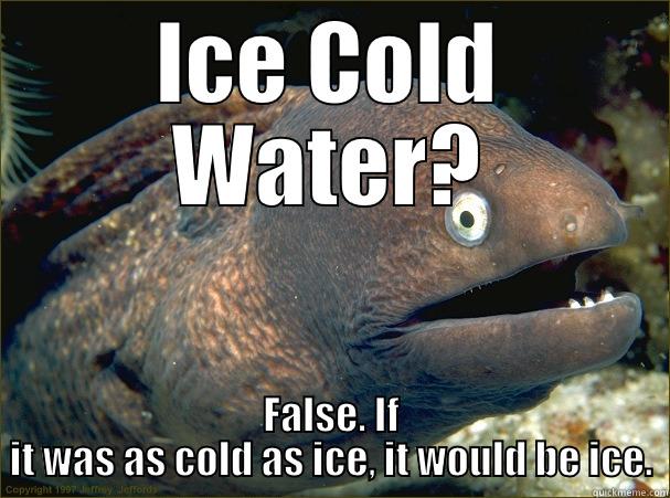 ICE COLD WATER? FALSE. IF IT WAS AS COLD AS ICE, IT WOULD BE ICE. Bad Joke Eel